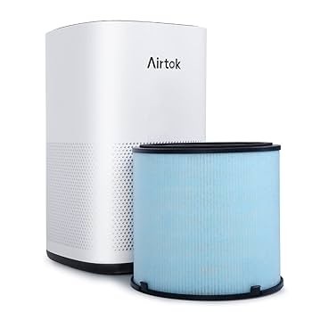 Amazon.com: AIRTOK Air Purifier AP1001 Replacement Filter, 5